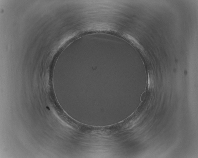 X0000067390627200604131932