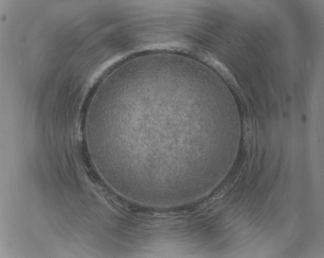 X0000067390628200604131932