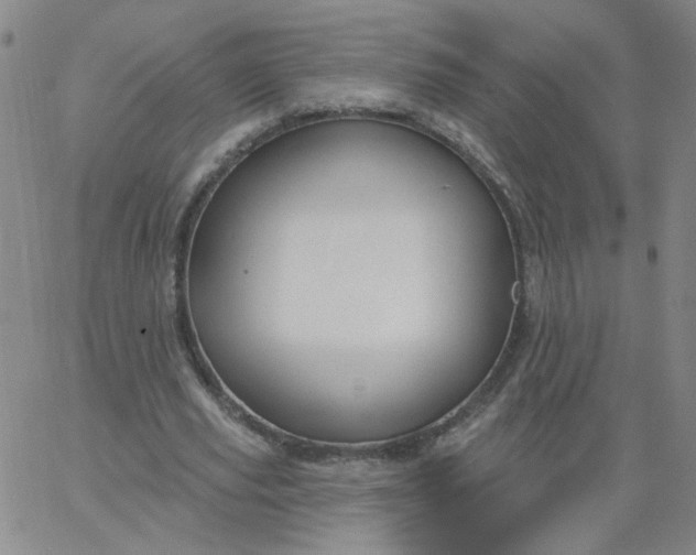 X0000067390629200604131932