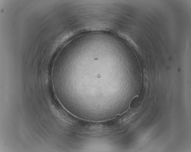 X0000067390631200604131932