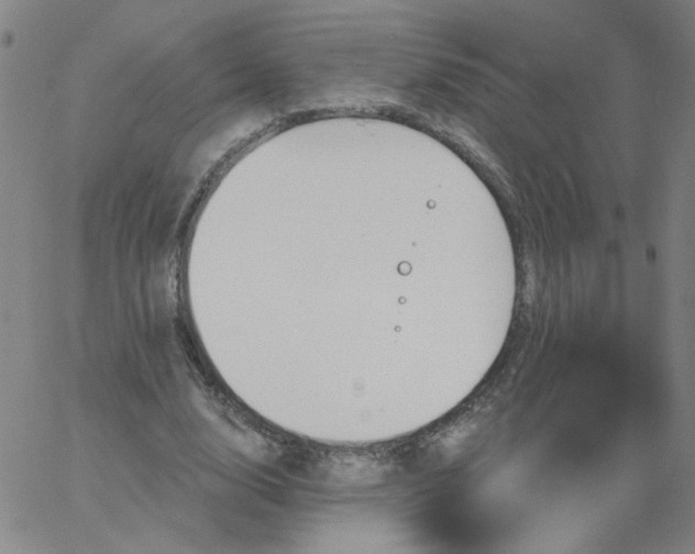 X0000067390632200604131932