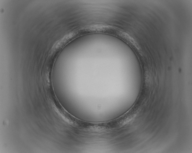 X0000067390633200604131932