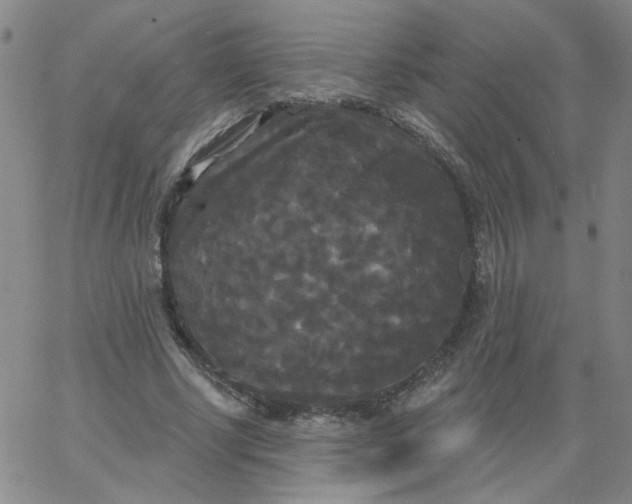 X0000067390634200604131932