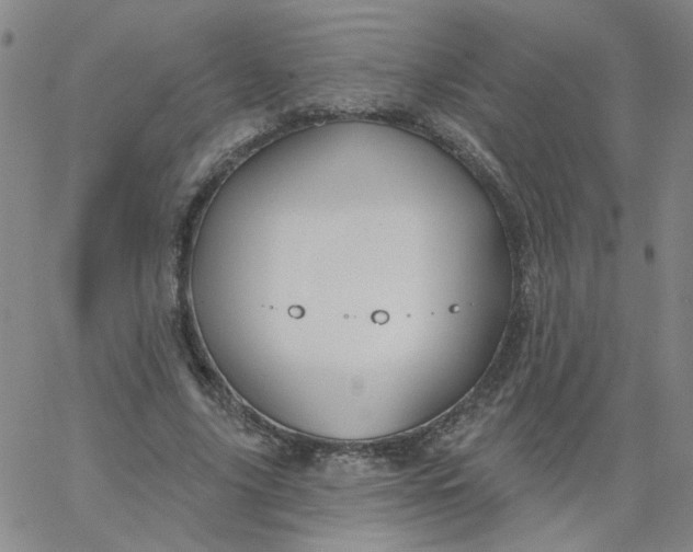 X0000067390635200604131932