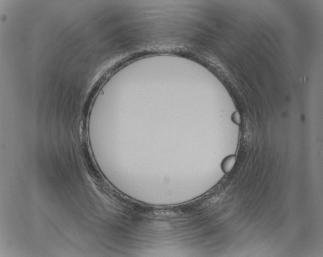 X0000067390636200604131932