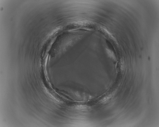 X0000067390637200604131932