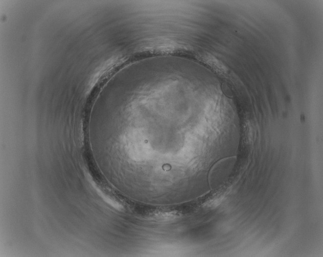 X0000067390638200604131932