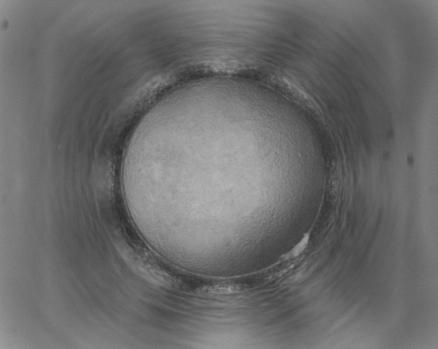 X0000067390639200604131932