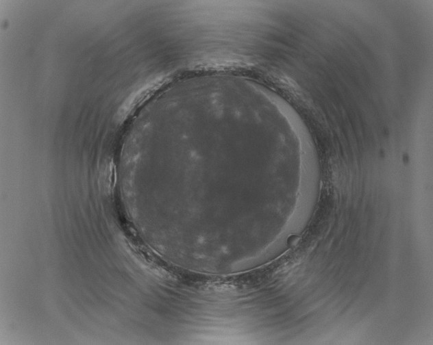 X0000067390640200604131933