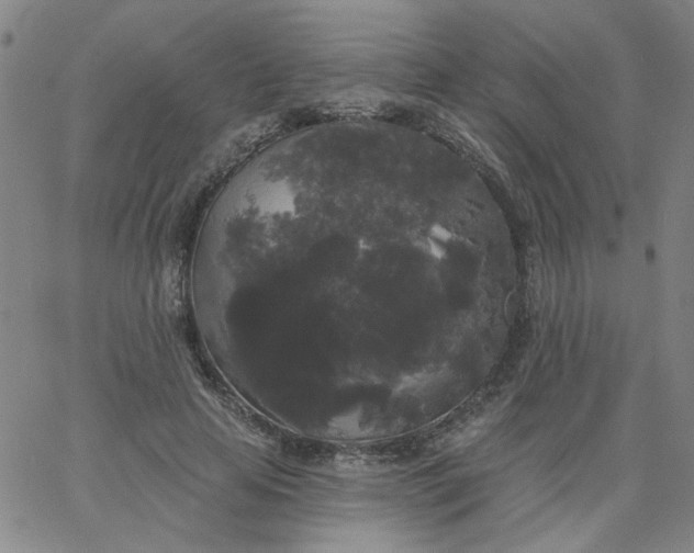 X0000067390641200604131933