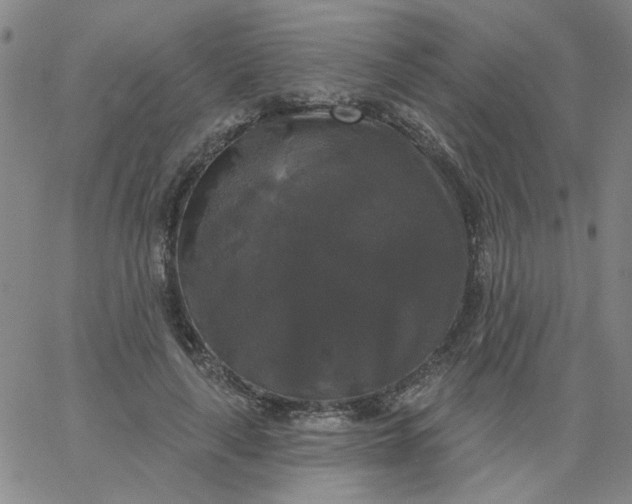 X0000067390643200604131933