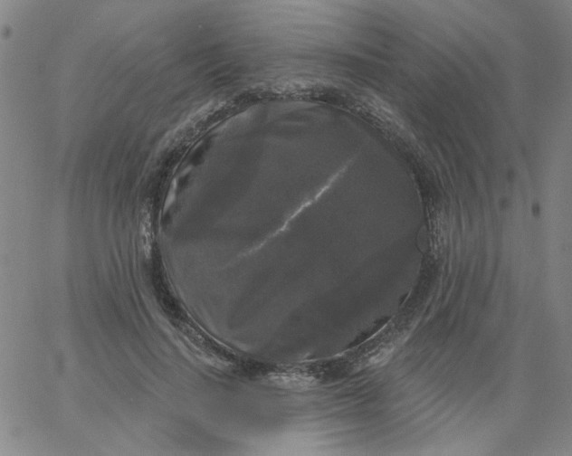 X0000067390644200604131933