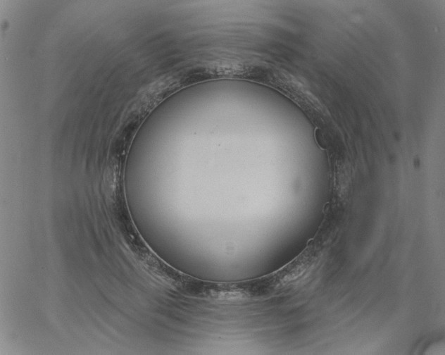 X0000067390645200604131933