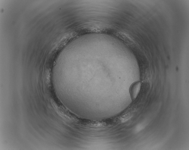 X0000067390646200604131933