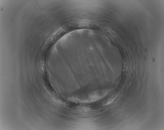 X0000067390648200604131933