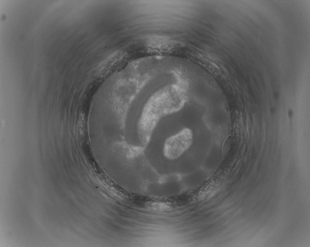 X0000067390649200604131933