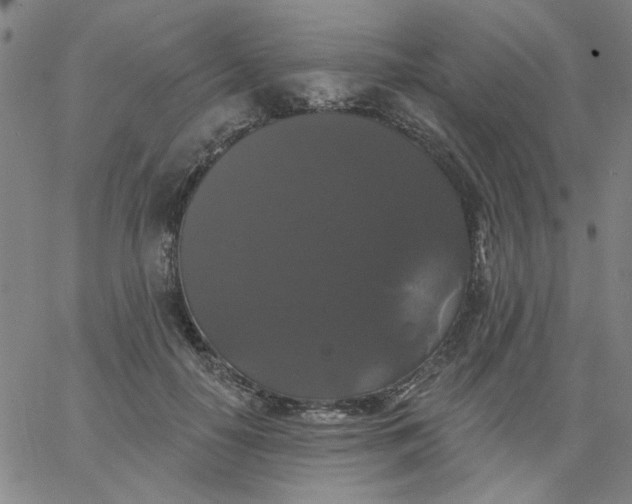 X0000067390650200604131933