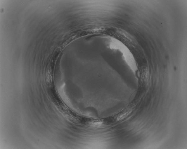 X0000067390651200604131933