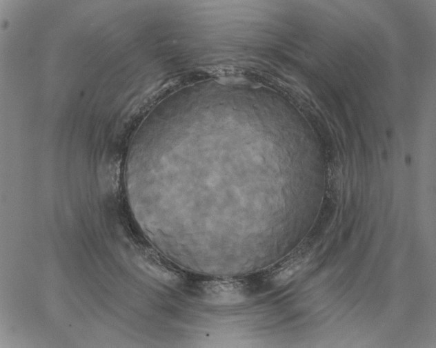 X0000067390652200604131933