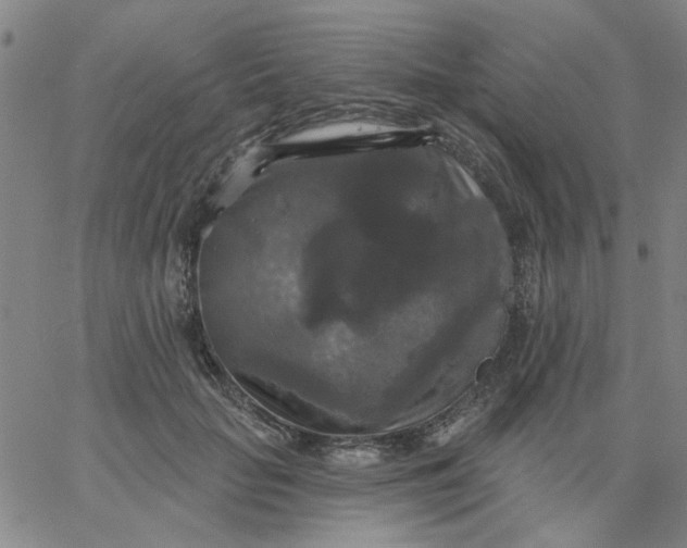 X0000067390653200604131933