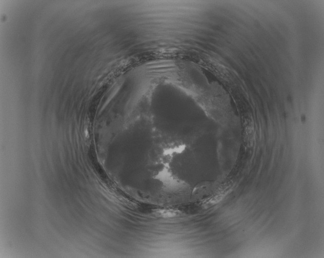 X0000067390654200604131933