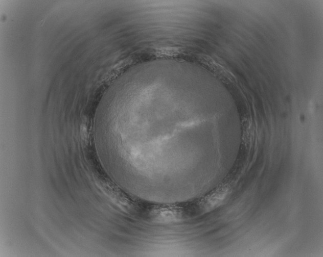 X0000067390655200604131933