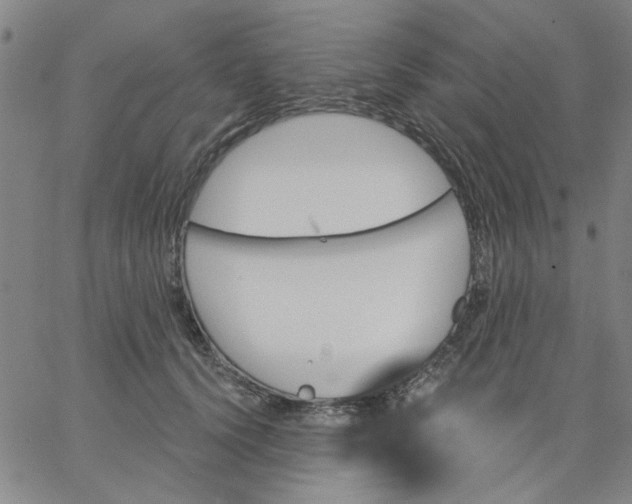 X0000067390656200604131933