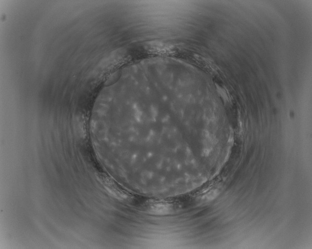 X0000067390658200604131933