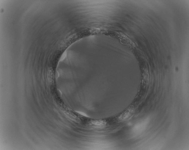 X0000067390659200604131933