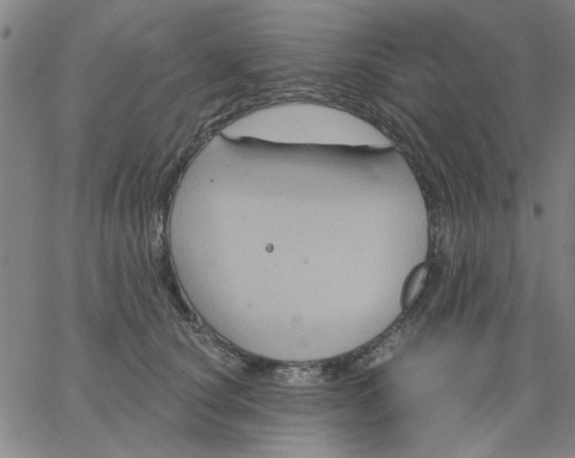 X0000067390660200604131933