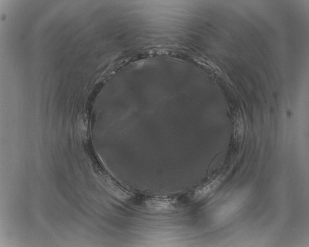 X0000067390661200604131933