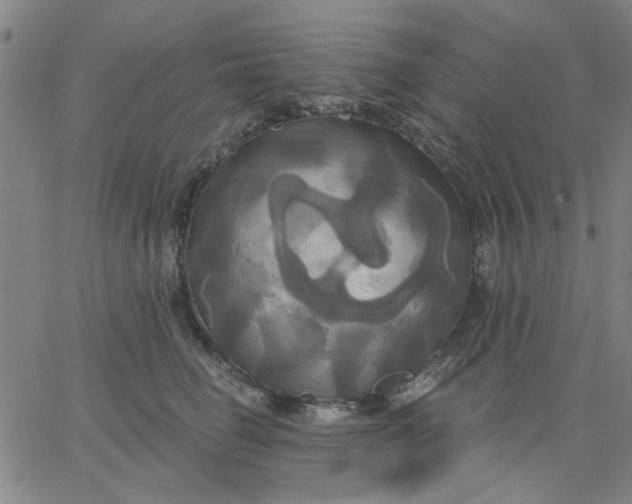 X0000067390662200604131933