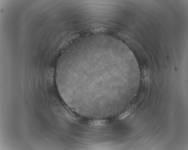 X0000067390664200604131933