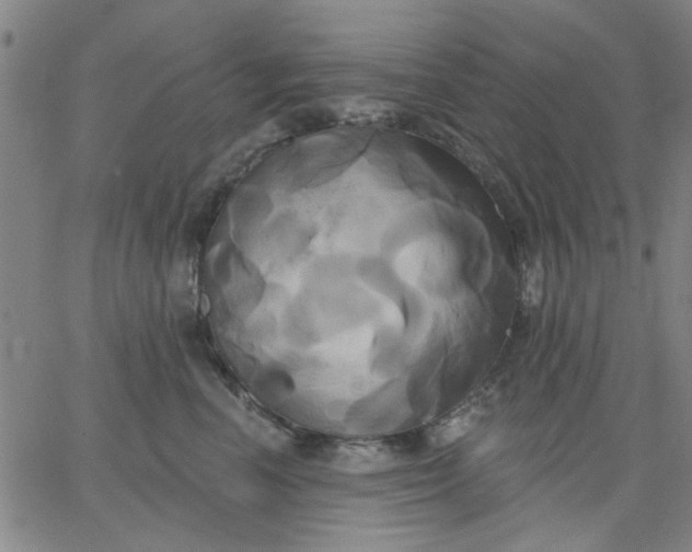 X0000067390666200604131933