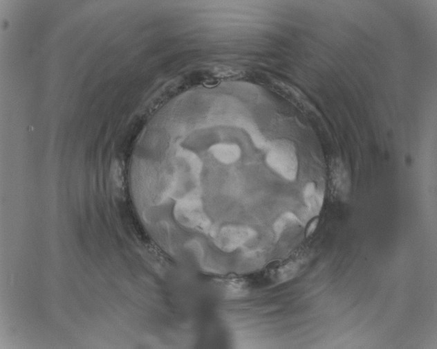 X0000067390667200604131933