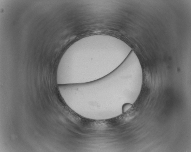 X0000067390668200604131933