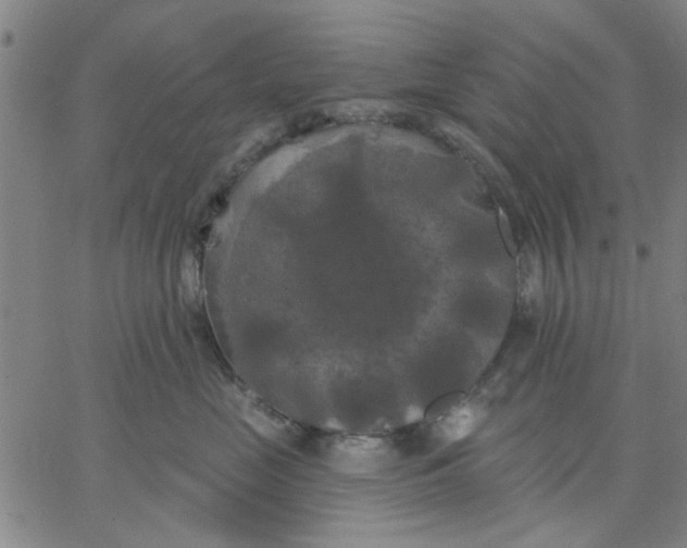 X0000067390669200604131933