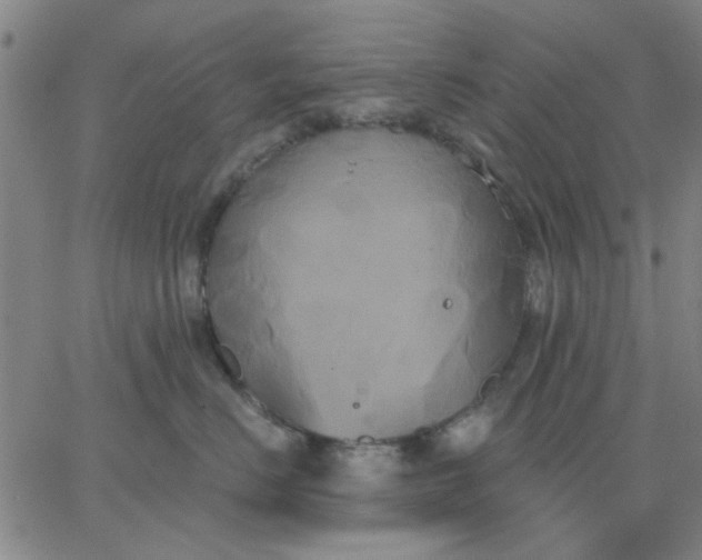 X0000067390670200604131933