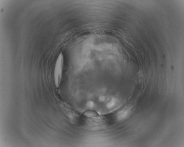 X0000067390671200604131933