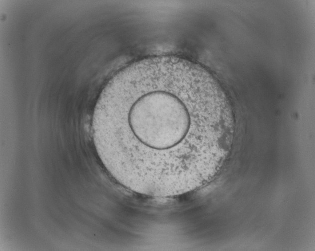 X0000067390672200604131933