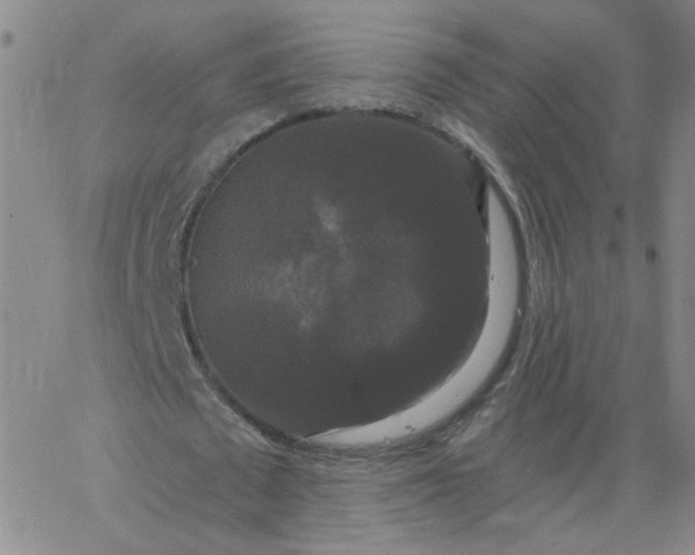 X0000067390673200604131932