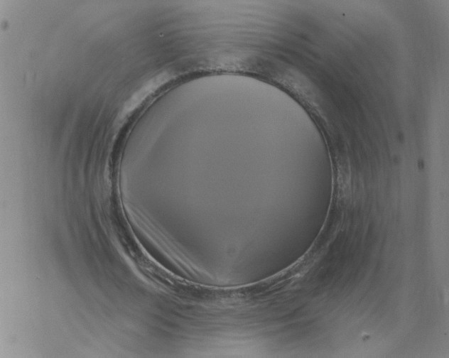 X0000067390674200604131932