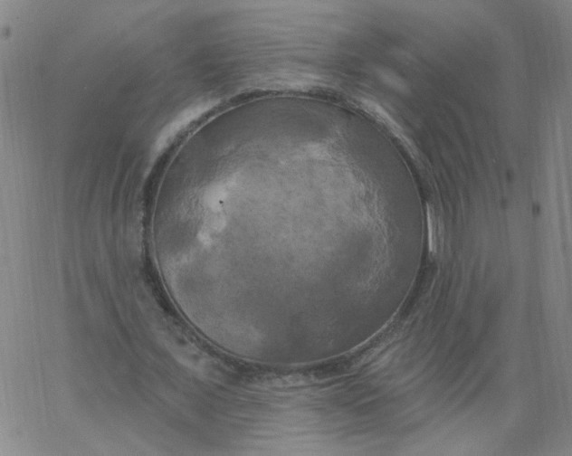 X0000067390675200604131932