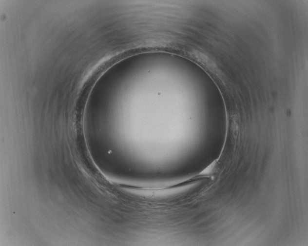 X0000067390676200604131932