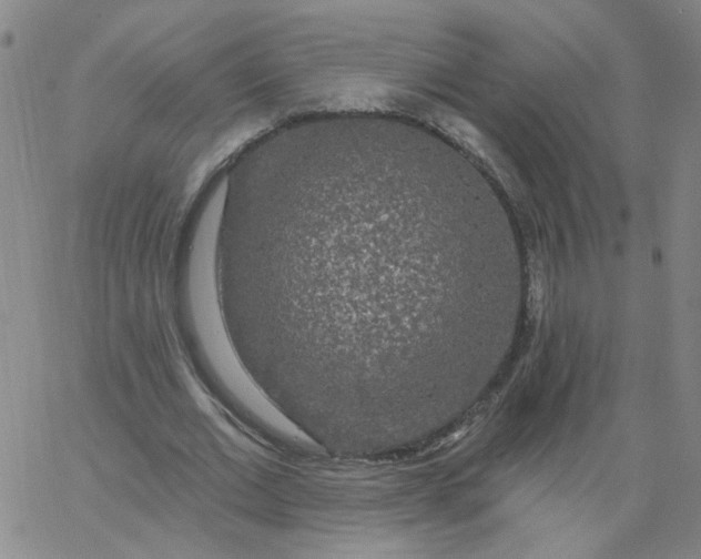 X0000067390677200604131932