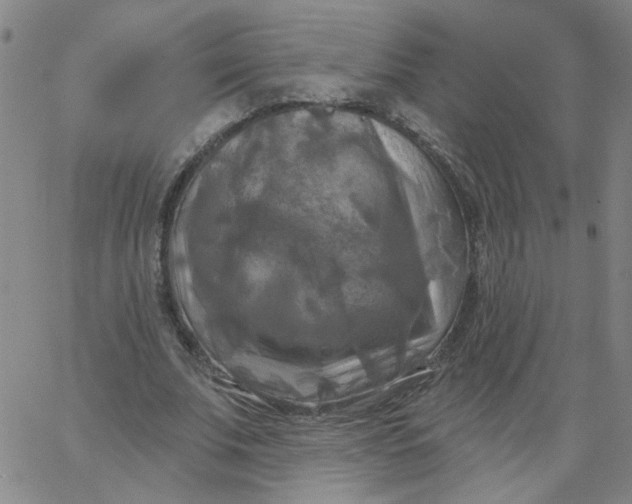 X0000067390679200604131932