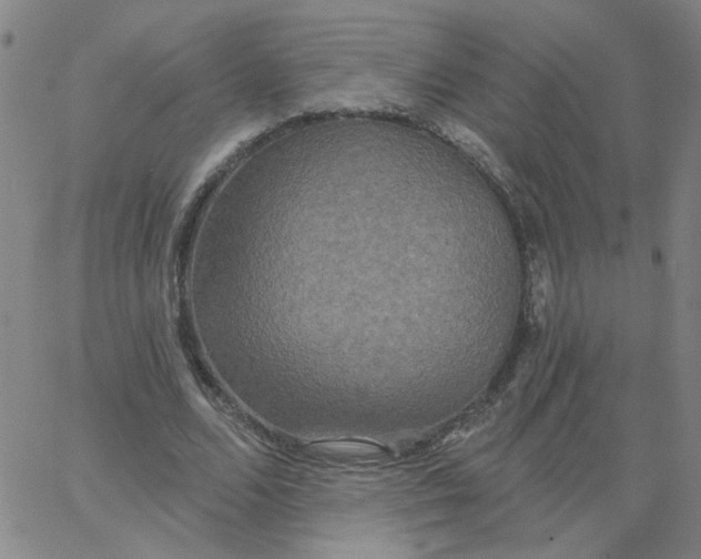 X0000067390680200604131932