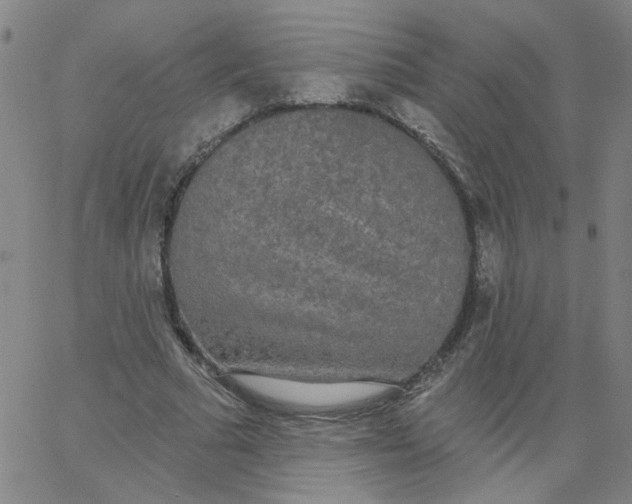 X0000067390681200604131932