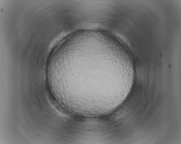 X0000067390682200604131932