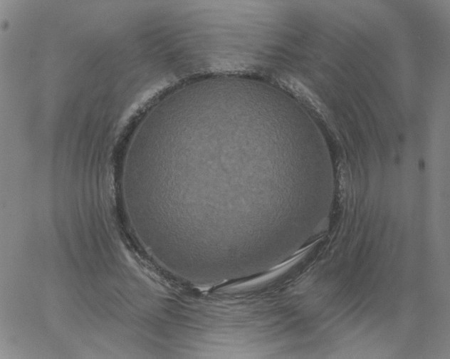 X0000067390684200604131932